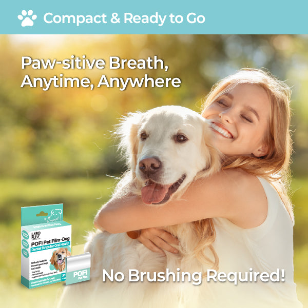 LABOTTACH Pofi Pet Oral Health Dental Strip for Dogs