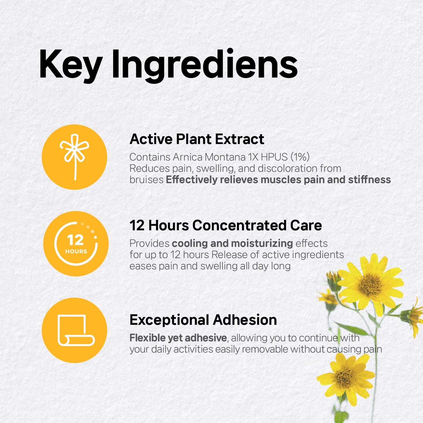 ArniPatch for Pain, Bruise, Swelling relief patch - Laboflex -