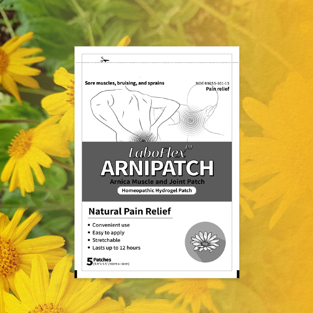 The Power of Arnica Patches: Natural Relief for Pain and Inflammation - Laboflex