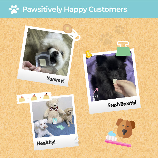 LABOTTACH Pofi Pet Oral Health Dental Strip for Dogs