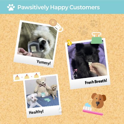 LABOTTACH Pofi Pet Oral Health Dental Strip for Dogs