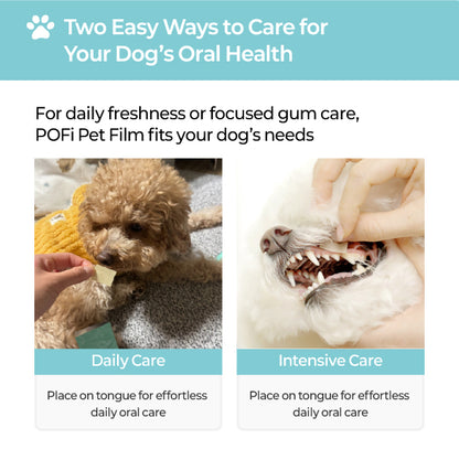 LABOTTACH Pofi Pet Oral Health Dental Strip for Dogs