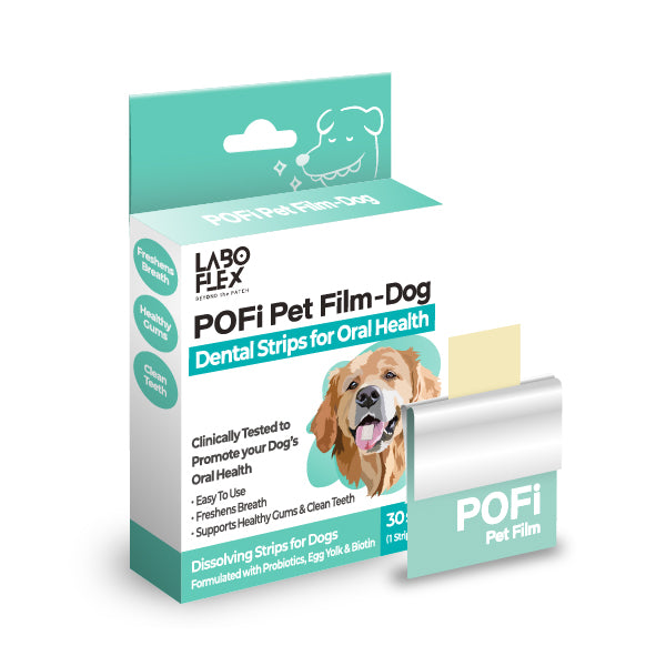LABOTTACH Pofi Pet Oral Health Dental Strip for Dogs
