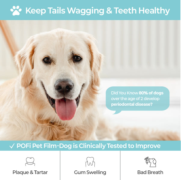 LABOTTACH Pofi Pet Oral Health Dental Strip for Dogs