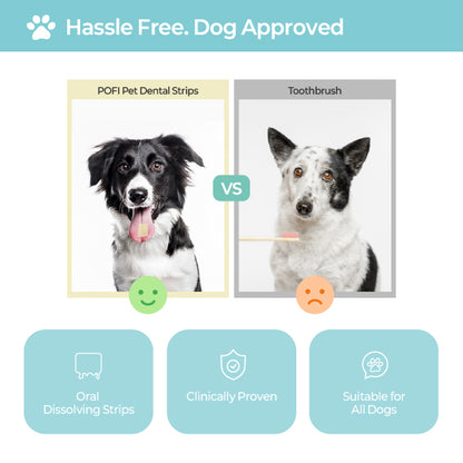 LABOTTACH Pofi Pet Oral Health Dental Strip for Dogs