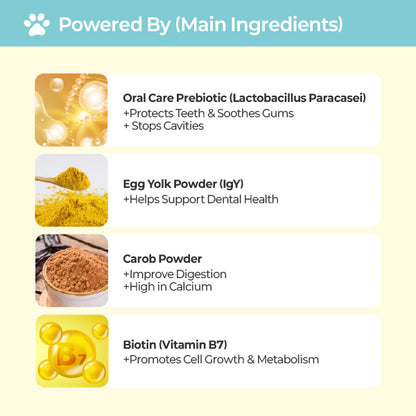 LABOTTACH Pofi Pet Oral Health Dental Strip for Dogs