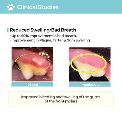 LABOTTACH Pofi Pet Oral Health Dental Strip for Dogs