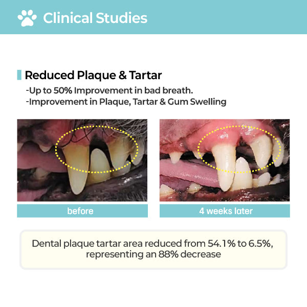 LABOTTACH Pofi Pet Oral Health Dental Strip for Dogs