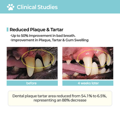 LABOTTACH Pofi Pet Oral Health Dental Strip for Dogs