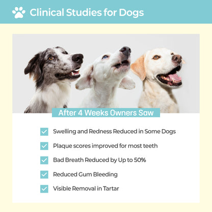 LABOTTACH Pofi Pet Oral Health Dental Strip for Dogs