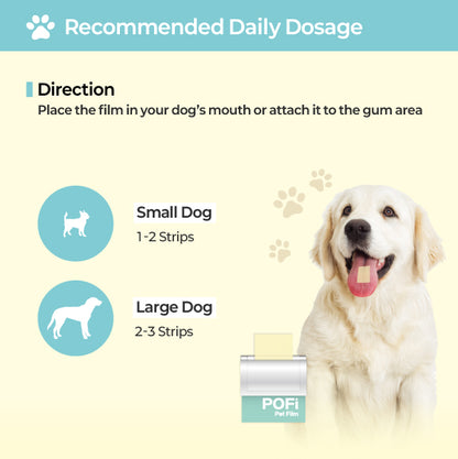 LABOTTACH Pofi Pet Oral Health Dental Strip for Dogs