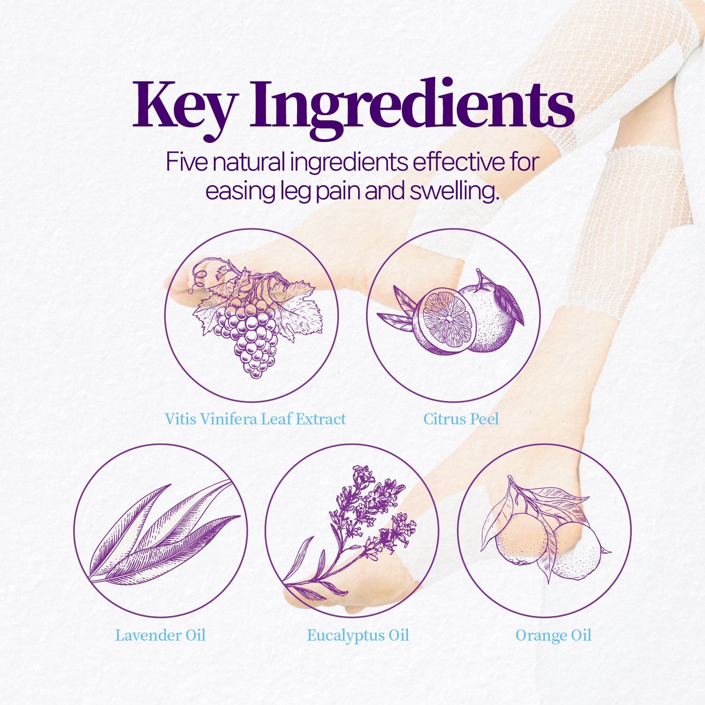 Venolite - Laboflex - 8809409180007